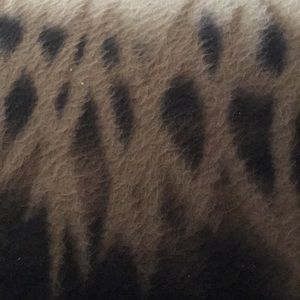 Meet your Posher, Teri